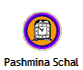 Pashmina Schal